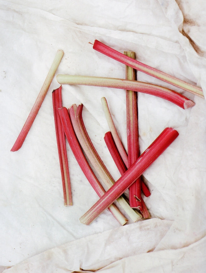 Strawberry Rhubarb Fruit Spread